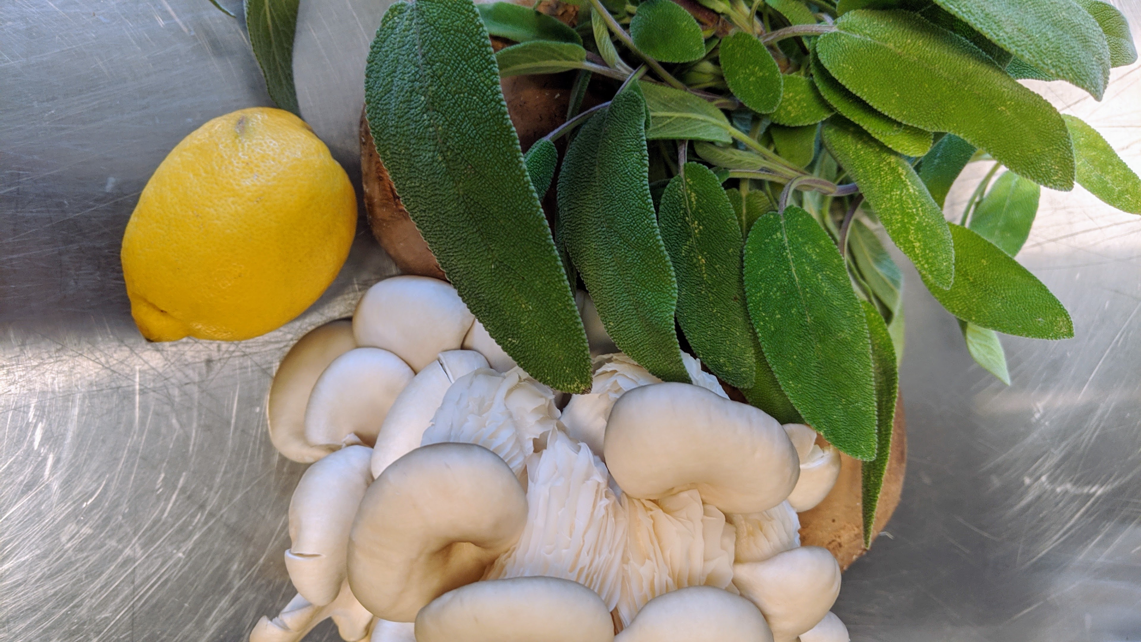 <h1>Hellere en end ti på taget</h1>