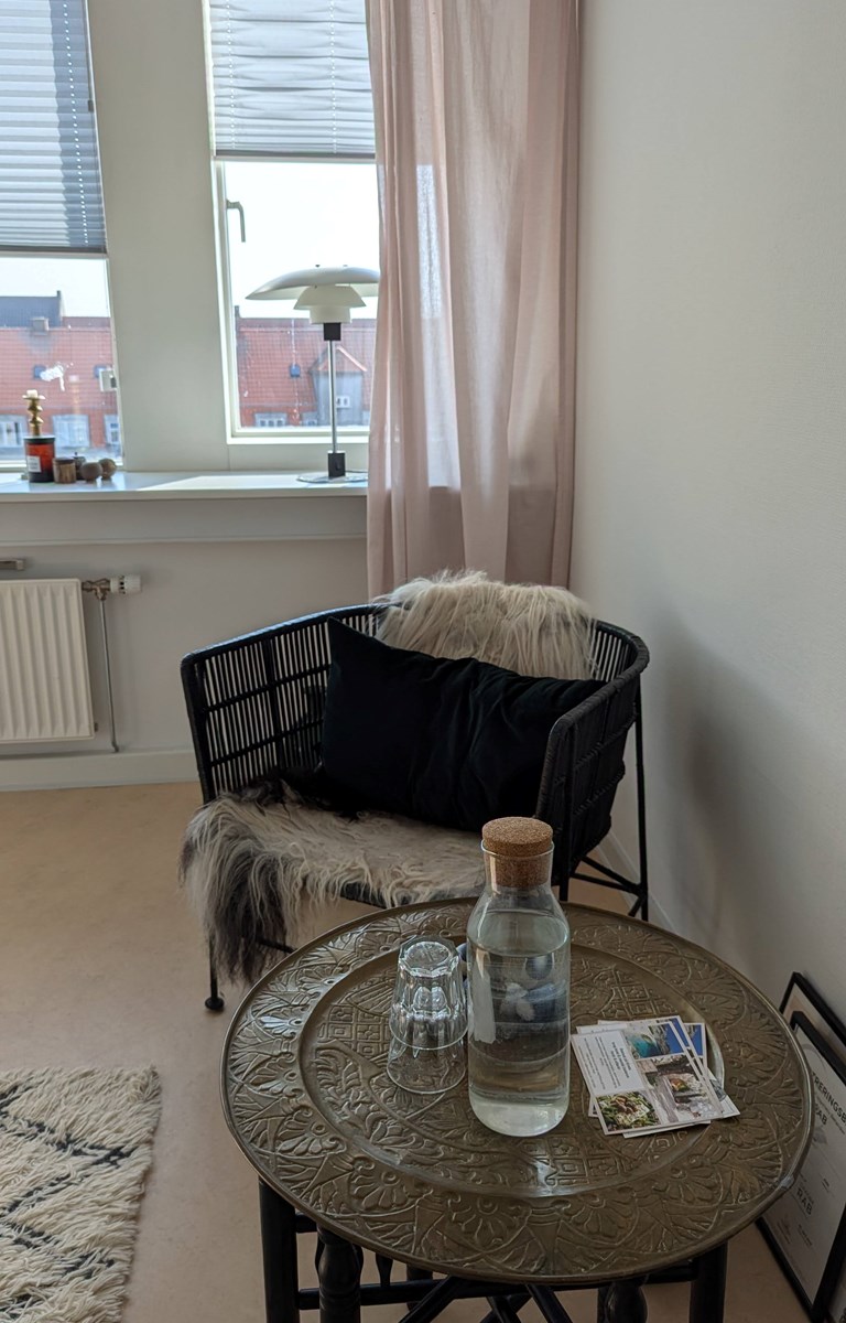 <h1>Psykoterapi</h1>