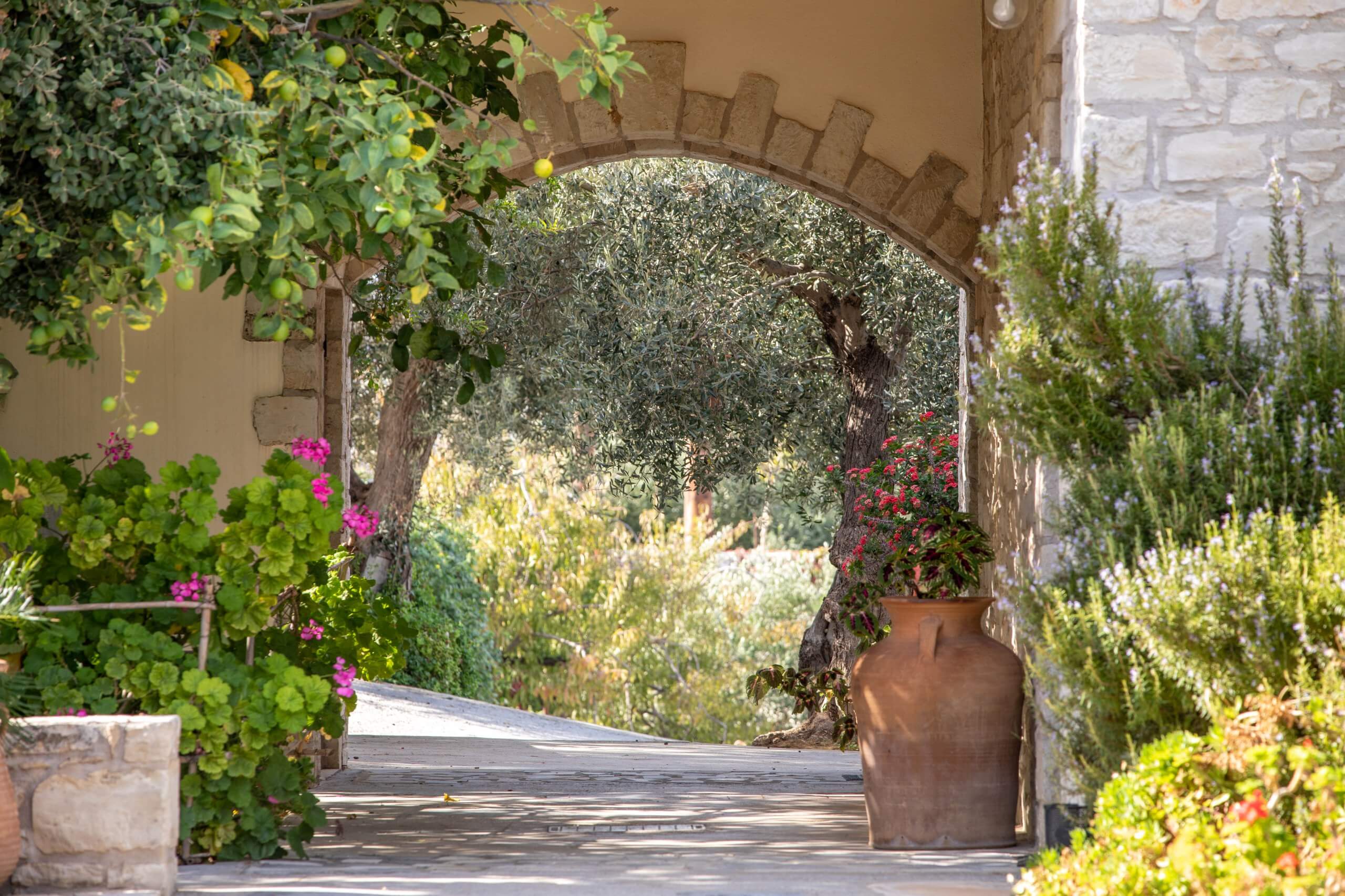 Dalabelos Estate Crete 008999